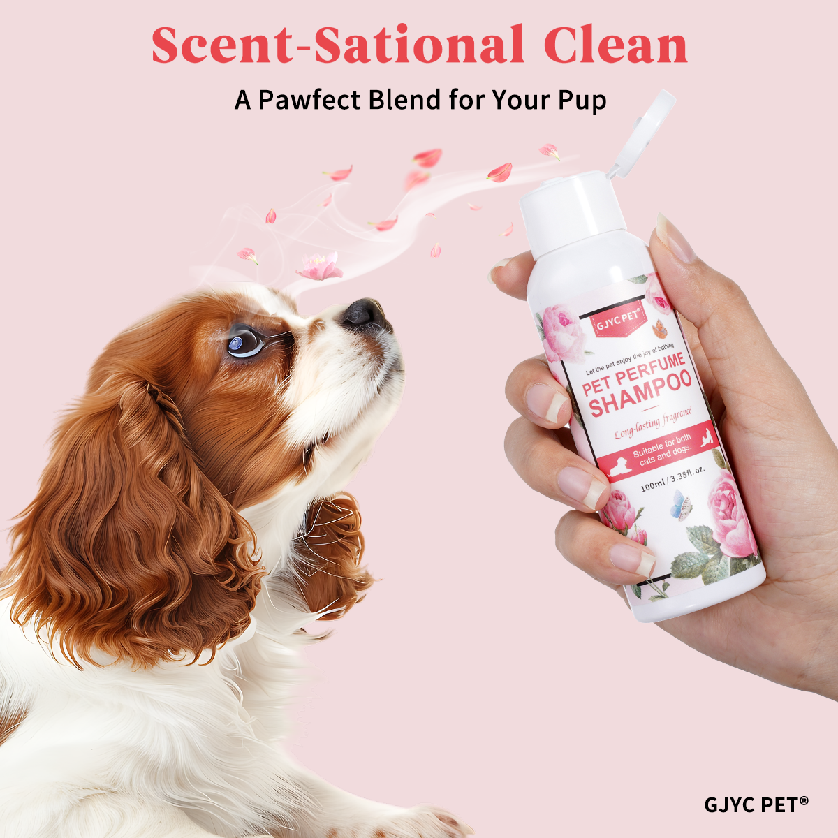 Perfumed Pet Shampoo for Dogs  - Perfume Fragrance Shampoo ulasan dan harga
