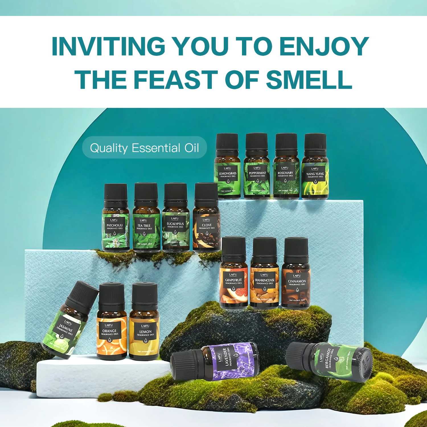 16x10ml Essential Oils Set for - Perfume Fragrance World ulasan dan harga